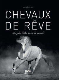 CHEVAUX-DE-REVES-LES-PLUS-BELLES-RACES-DU-MONDE