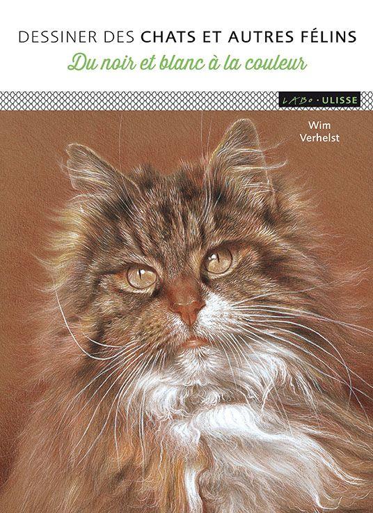 DESSINER-DES-CHATS-ET-AUTRES-FELINS