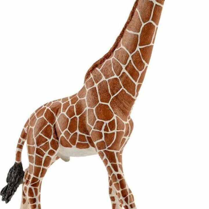 GIRAFE