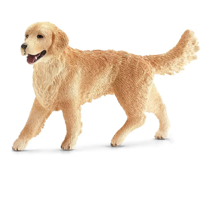 GOLDEN-RETRIEVER-FEMELLE