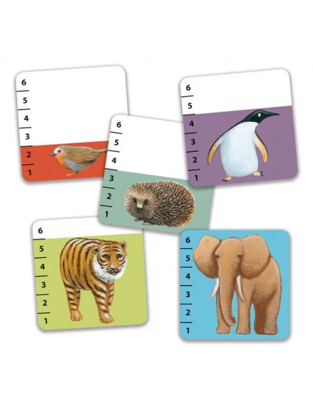 JEUX-DE-CARTES-BATANIMO-1