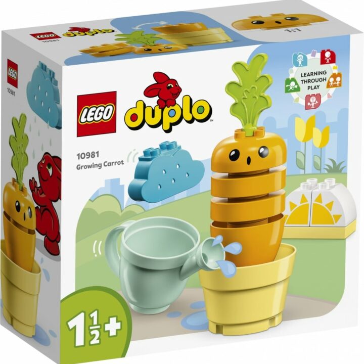 LA-CAROTTE-QUI-POUSSE-DUPLO