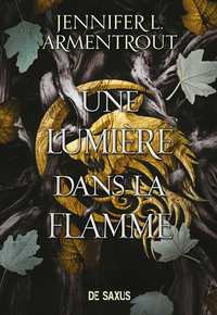 LA-CHAIR-ET-LE-FEU-BROCHE-TOME-02-UNE-LUMIERE-DANS-LA-FLAMME