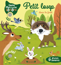 PETIT-LOUP-DANS-LA-FORET